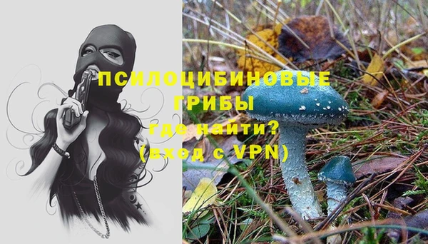jwh Горняк